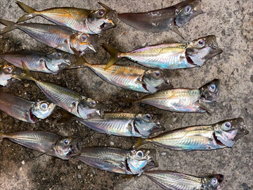 Ba447b1c3665464ab1a078aac461ab86